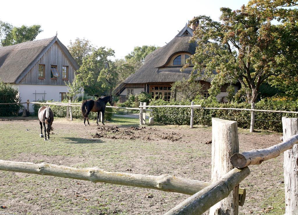 Ostseehotel Wustrow Wustrow  Eksteriør billede